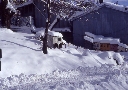 Panoramica con neve